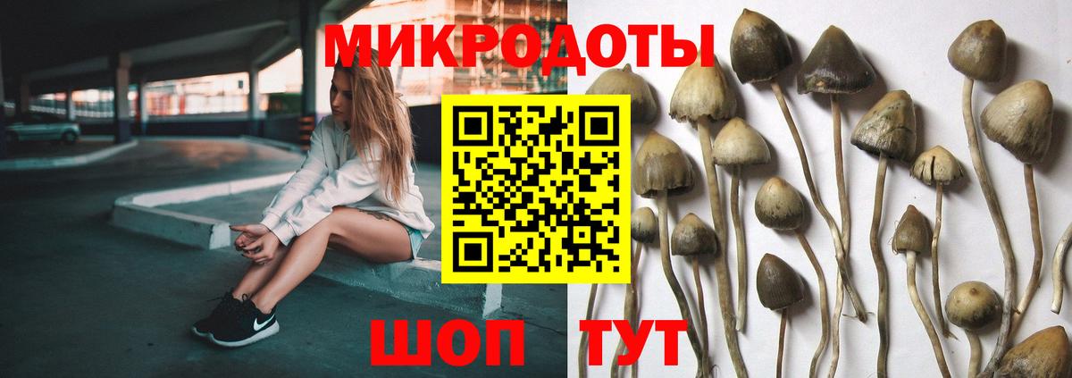 Галлюциногенные грибы Magic Shrooms Ишимбай
